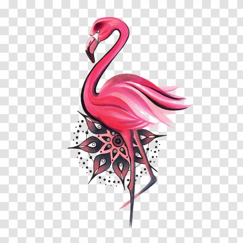 Mandala Water Bird Greater Flamingo Symbol Transparent PNG