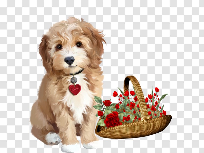 Puppy Shih Tzu Poodle Watercolor Painting - Companion Dog Transparent PNG
