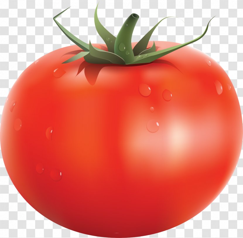 Cherry Tomato Soup Clip Art - Food - Veg Transparent PNG