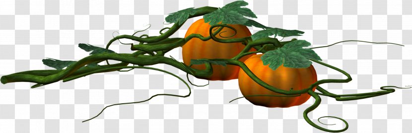 Pumpkin Orange Leaf - Fruit - Creative Leaves Transparent PNG