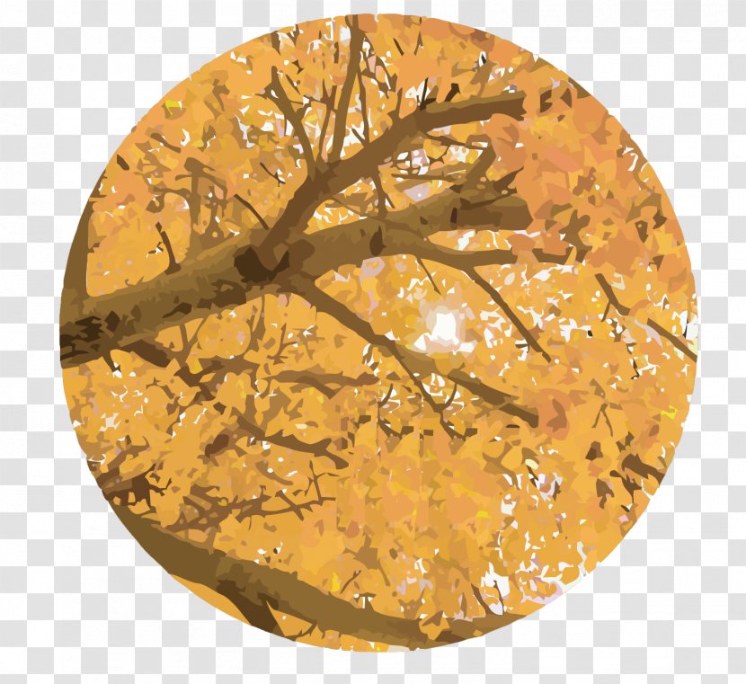 Leaf Autumn Shading - Organism - Vector Leaves Transparent PNG