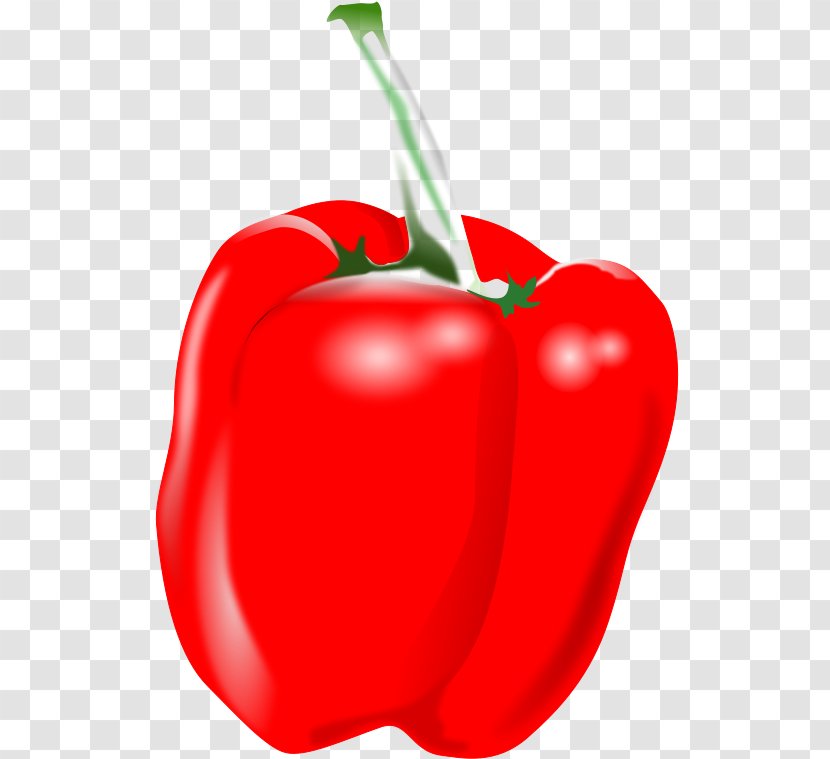 Vegetable Cartoon - Plant - Superfood Red Bell Pepper Transparent PNG