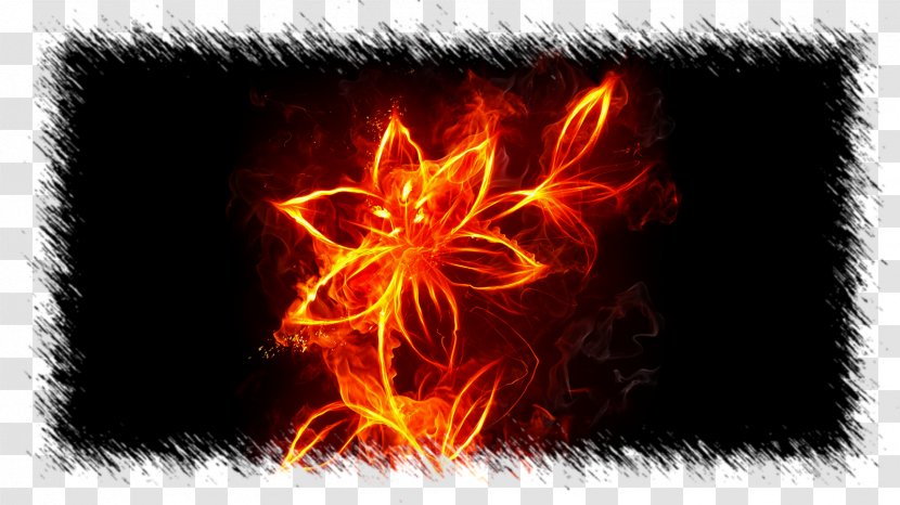 Desktop Wallpaper Fire Flame High-definition Television Flower - Ultrahighdefinition - Burn Transparent PNG