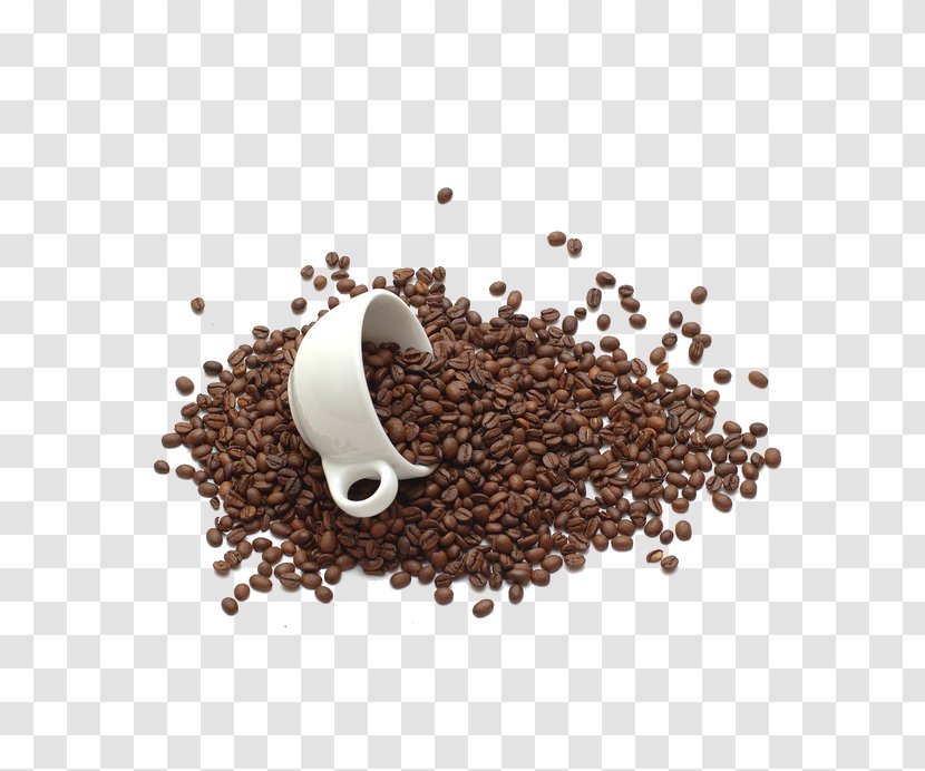 Coffee Bean Tea Chocolate Milk Cup - Roasting - Beans Transparent PNG