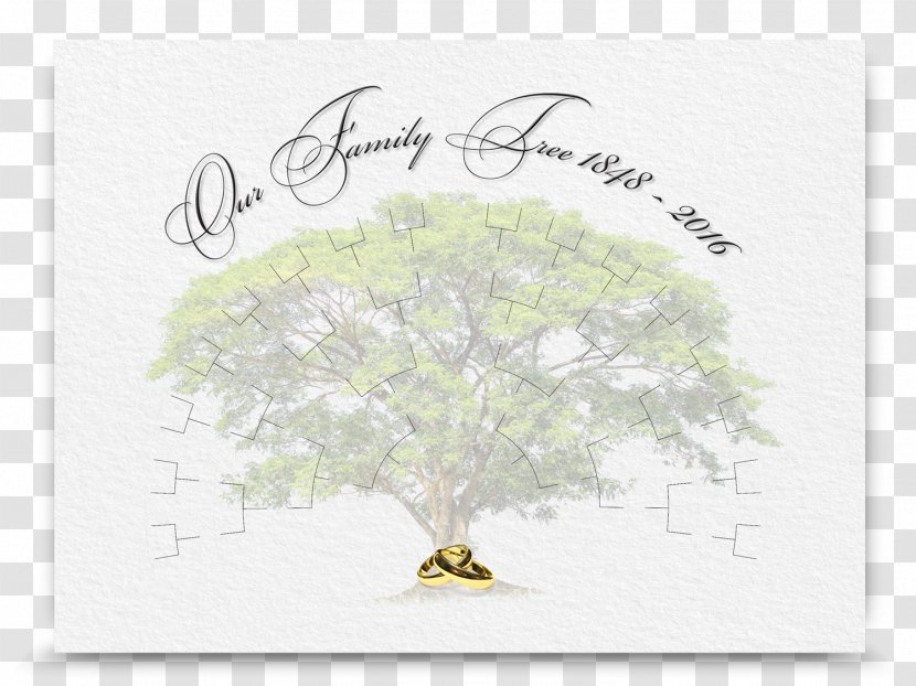 Family Tree Designer T-shirt - Familytree - 5 Member Frame Transparent PNG