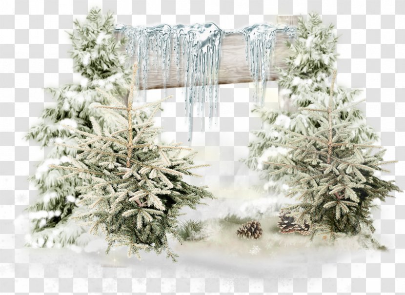 Winter Drawing Snow - Branch - Arriere Plan Transparent PNG