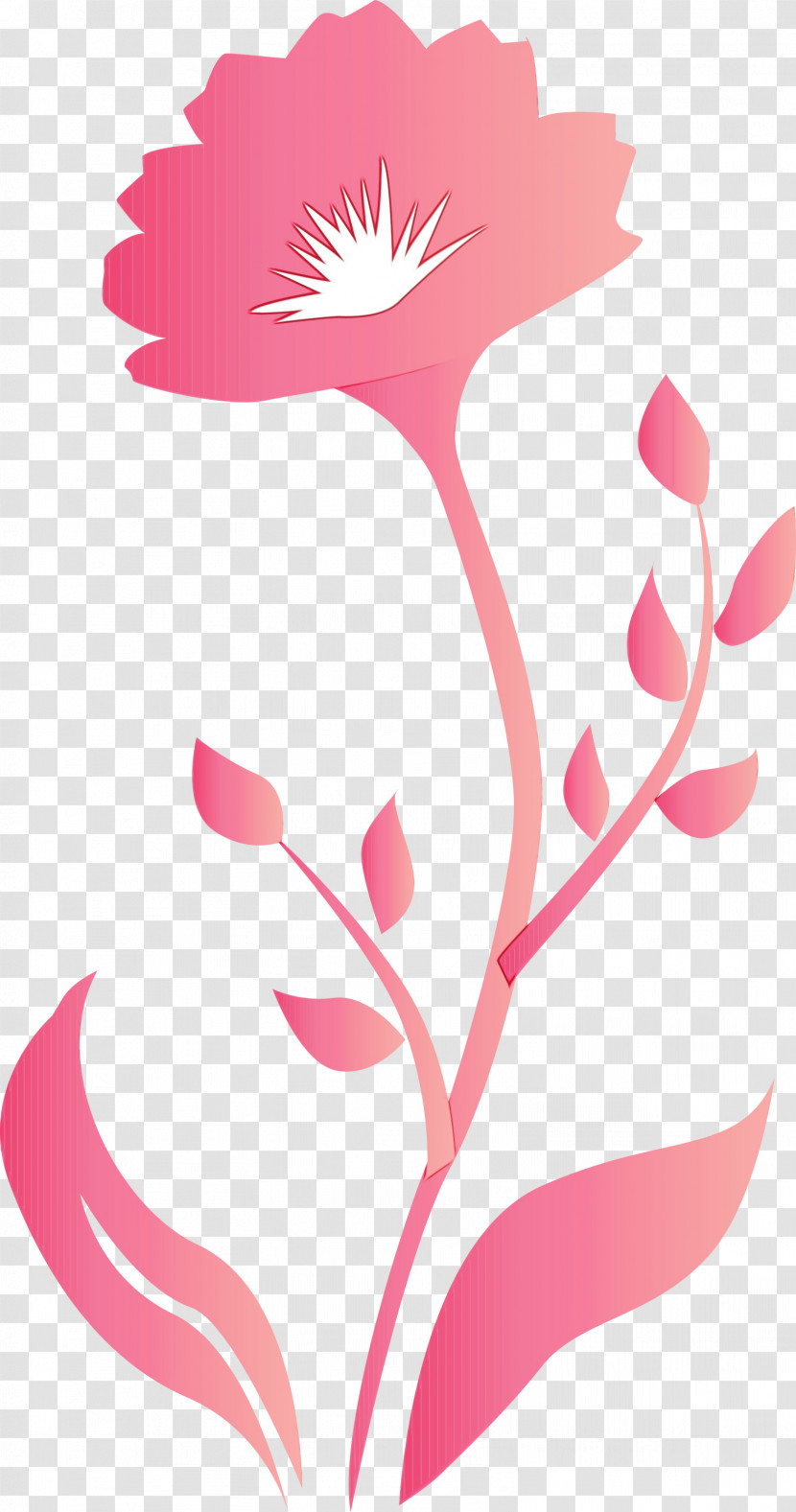Pink Pedicel Plant Flower Plant Stem Transparent PNG