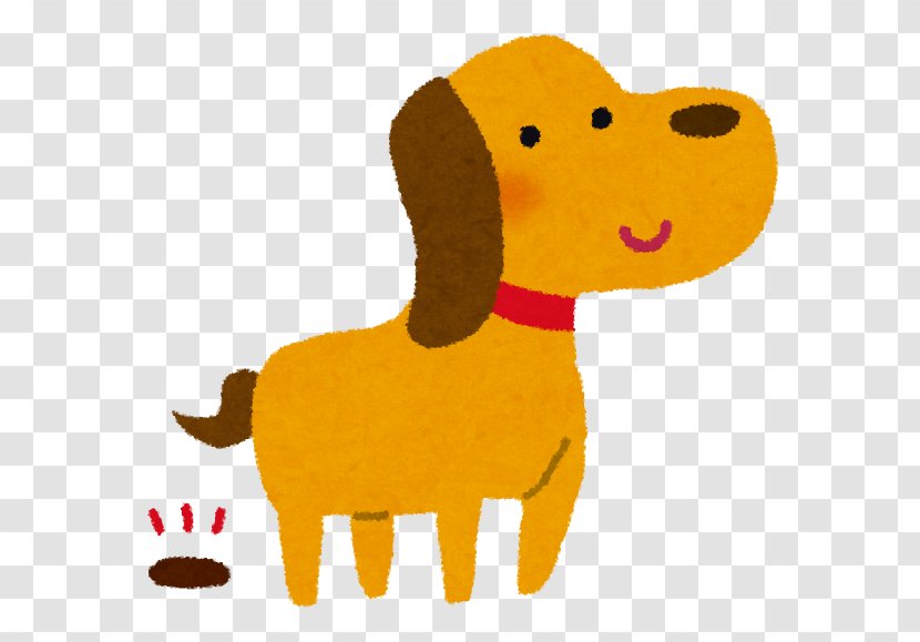 Poodle Akita Shiba Inu Puppy Dog Food - Coprophagia Transparent PNG