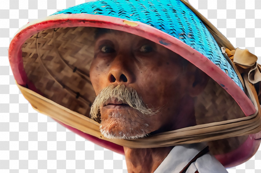Sun Hat Facial Hair Hat Snout Hair Transparent PNG