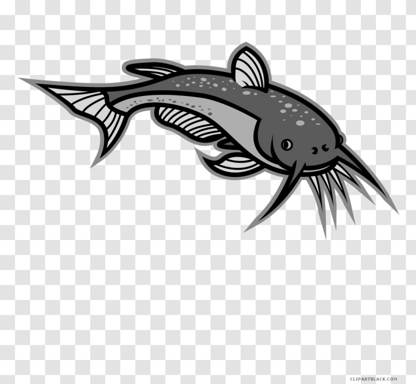 Clip Art Illustration Vector Graphics Free Content Royalty-free - Monochrome Photography - Flathead Catfish Transparent PNG