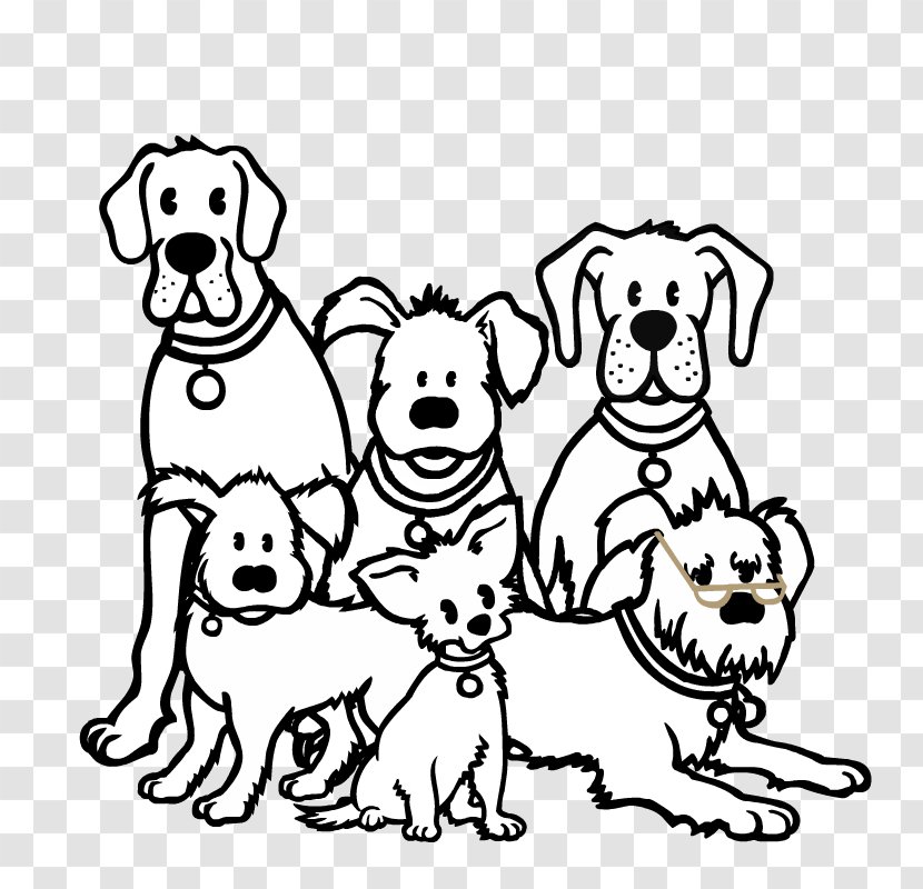Puppy Dog Breed Mazlíci Non-sporting Group - Organism - Groupofdogsblackandwhite Transparent PNG