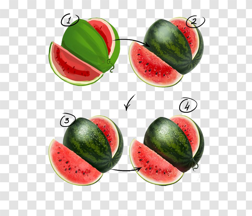 Watermelon Painting Sketch - Natural Foods Transparent PNG