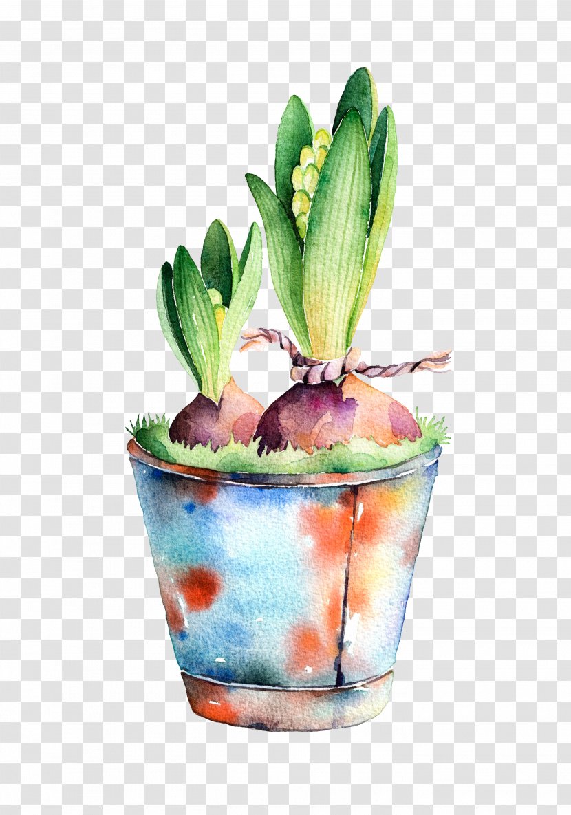 Stock Photography Watercolor Painting Hyacinth Illustration - Hand-painted Bana Transparent PNG