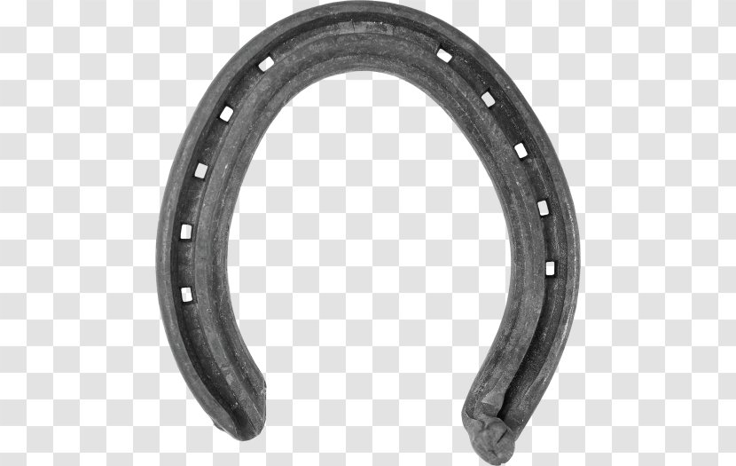 West Michigan Horseshoe Supply LLC Farrier Pony - Horse Transparent PNG