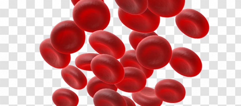 Close-up - Closeup - Blood Cells Transparent PNG