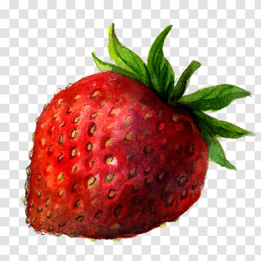 Drawing Berry Painting Illustration - Fruit - Strawberry Painted Transparent PNG