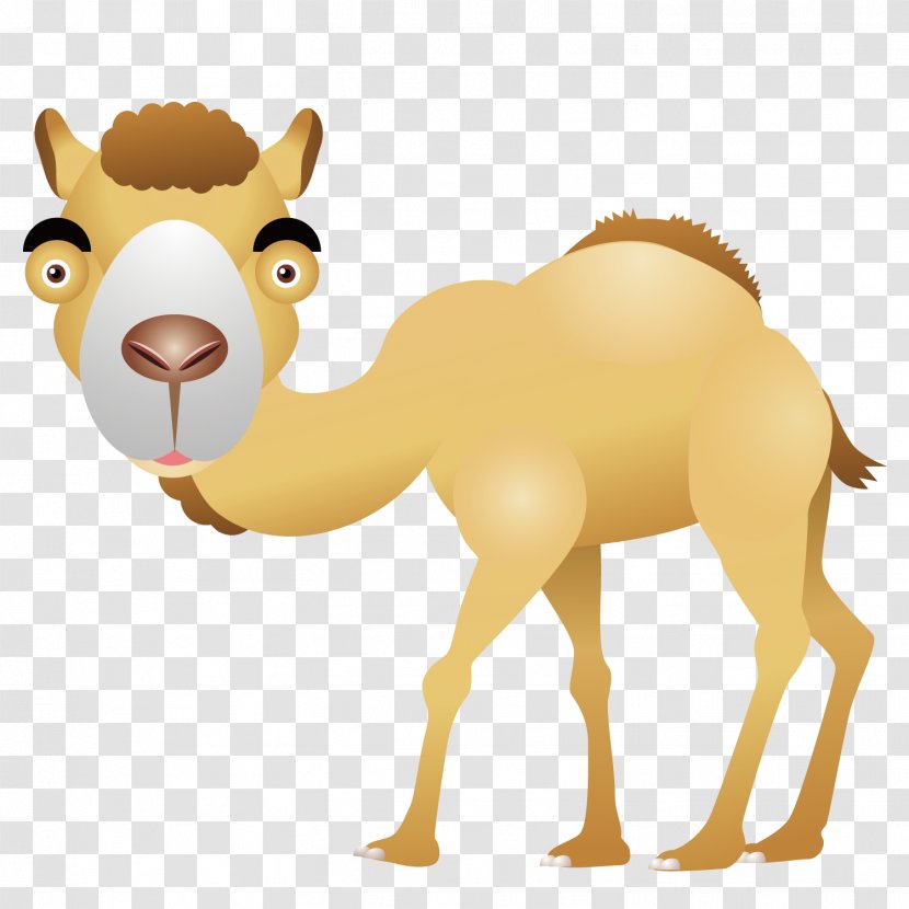 Camel Desert Computer File - Vertebrate Transparent PNG