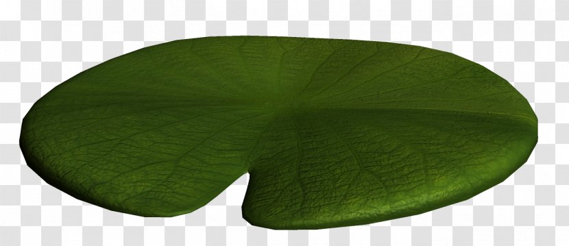 Leaf Green Angle - Plant - Fairy Tale Scene Transparent PNG