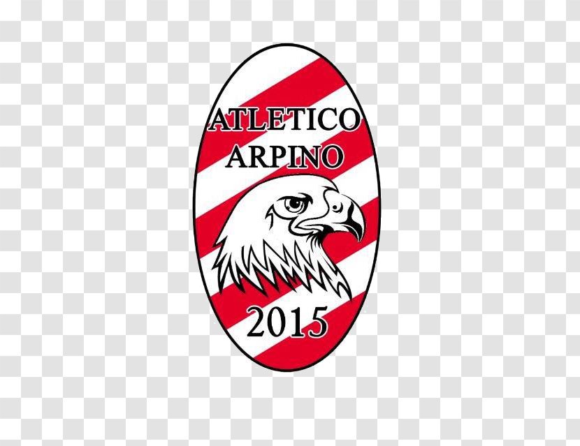 Seconda Categoria Associazione Sportiva Dilettantistica Ceccano Arpino Player - Goalkeeper Transparent PNG