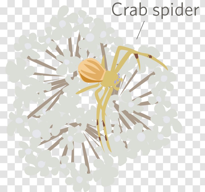 Line Organism - Design Transparent PNG