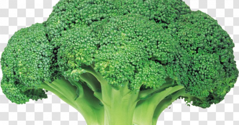 Broccoli Vegetable Rapini Food Transparent PNG