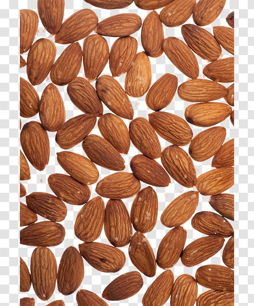 Nut Food Apricot Kernel Almond - Vegetable - Sweet Nuts Transparent PNG