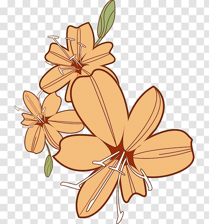 Lily Flower Transparent PNG