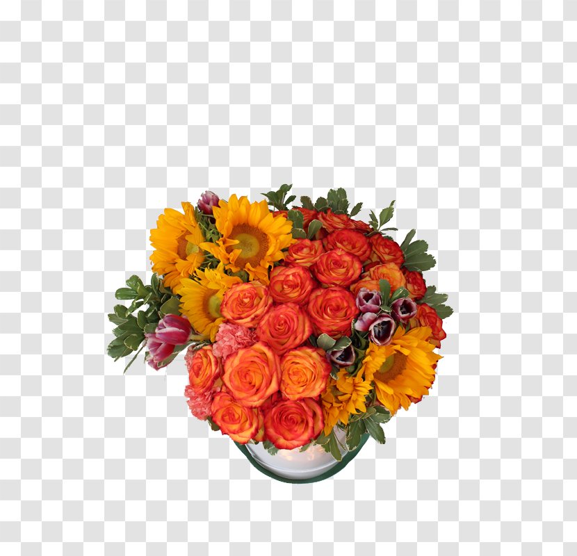 Garden Roses Cut Flowers Floral Design - Begonia Transparent PNG