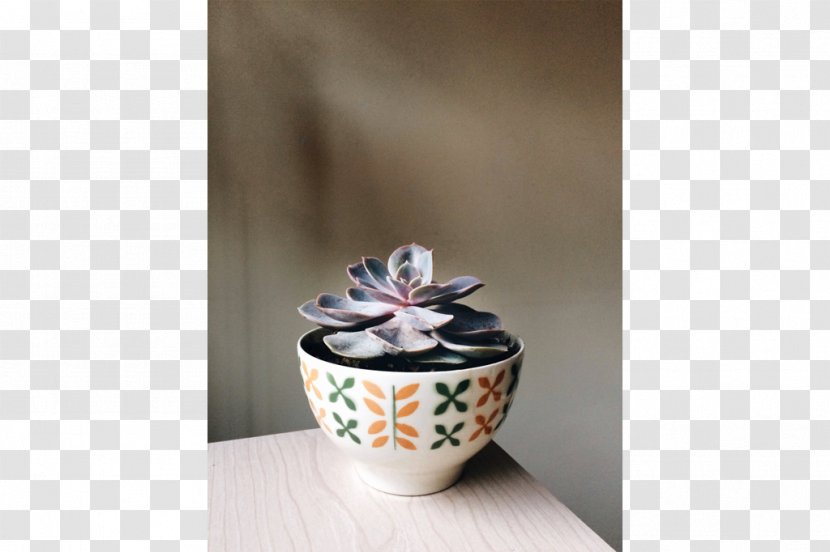 Saucer Porcelain Pottery Vase Cup Transparent PNG