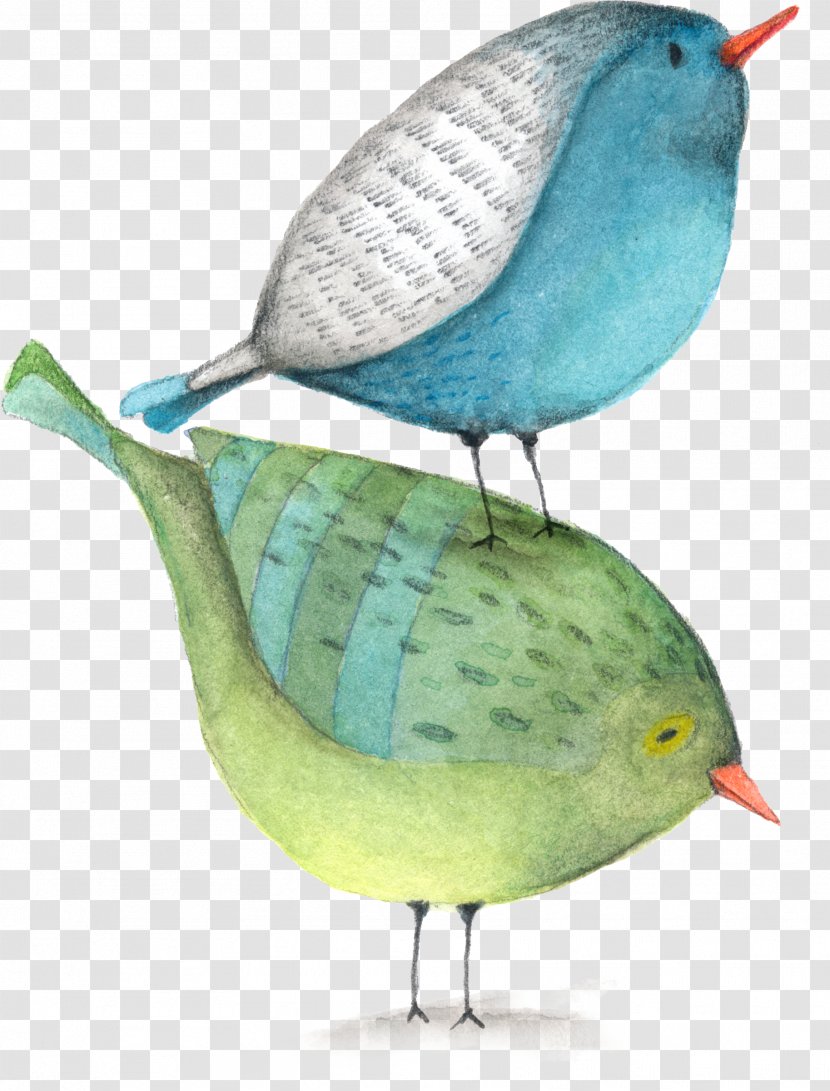 Lovebird Parrot Clip Art - Esq Paul A Samakow - Birds Collection Transparent PNG
