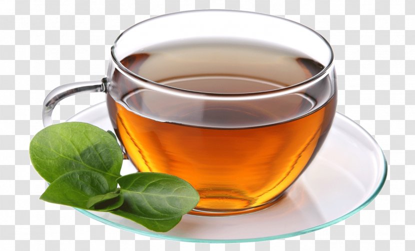 Green Tea Coffee Cafe Herbal - Flavor Transparent PNG