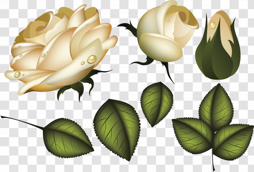 Rose Flower Leaf Clip Art - Bud Transparent PNG
