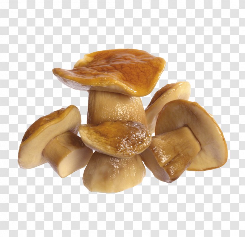 Mushroom Image File Formats - Display Resolution - Cooked Mushrooms Transparent PNG