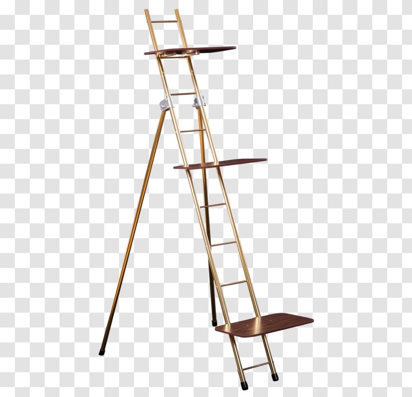 Holland Supply, Inc. Ladder Anodizing Wood - Ladders Transparent PNG
