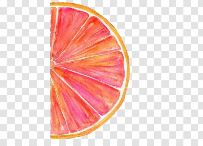 Grapefruit Watercolor Painting Watercolour Tips Art - Color Scheme - Red Transparent PNG
