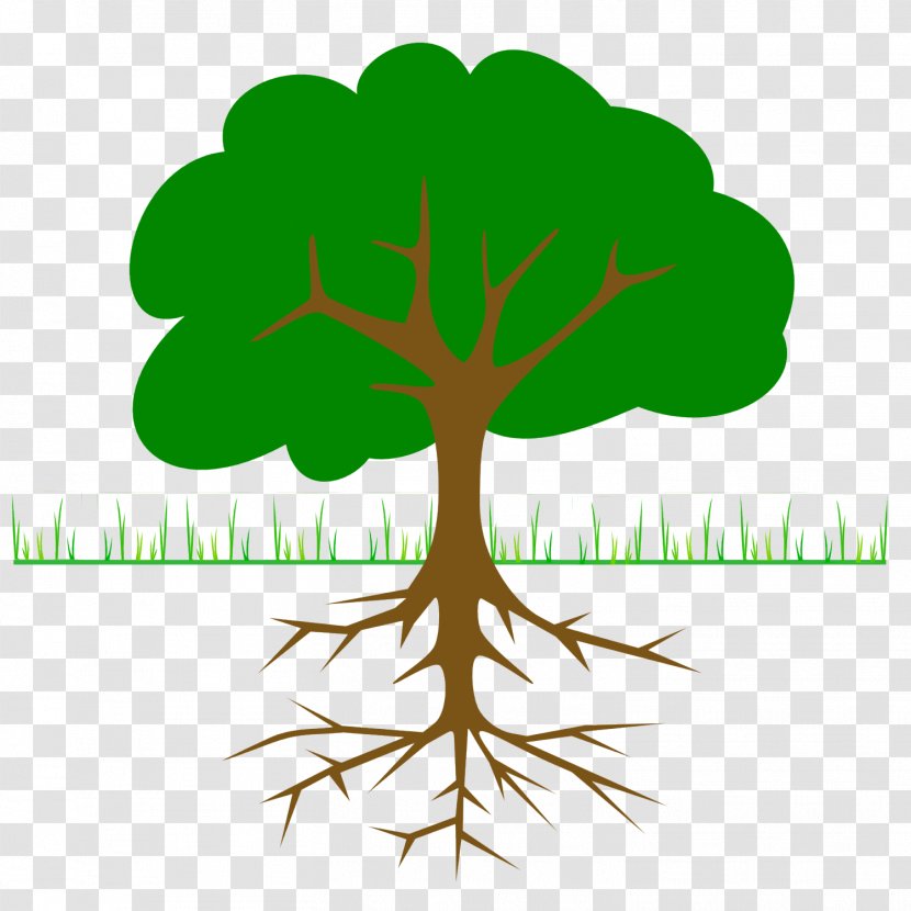 The Great Kapok Tree Clip Art - Root - Branch Transparent PNG