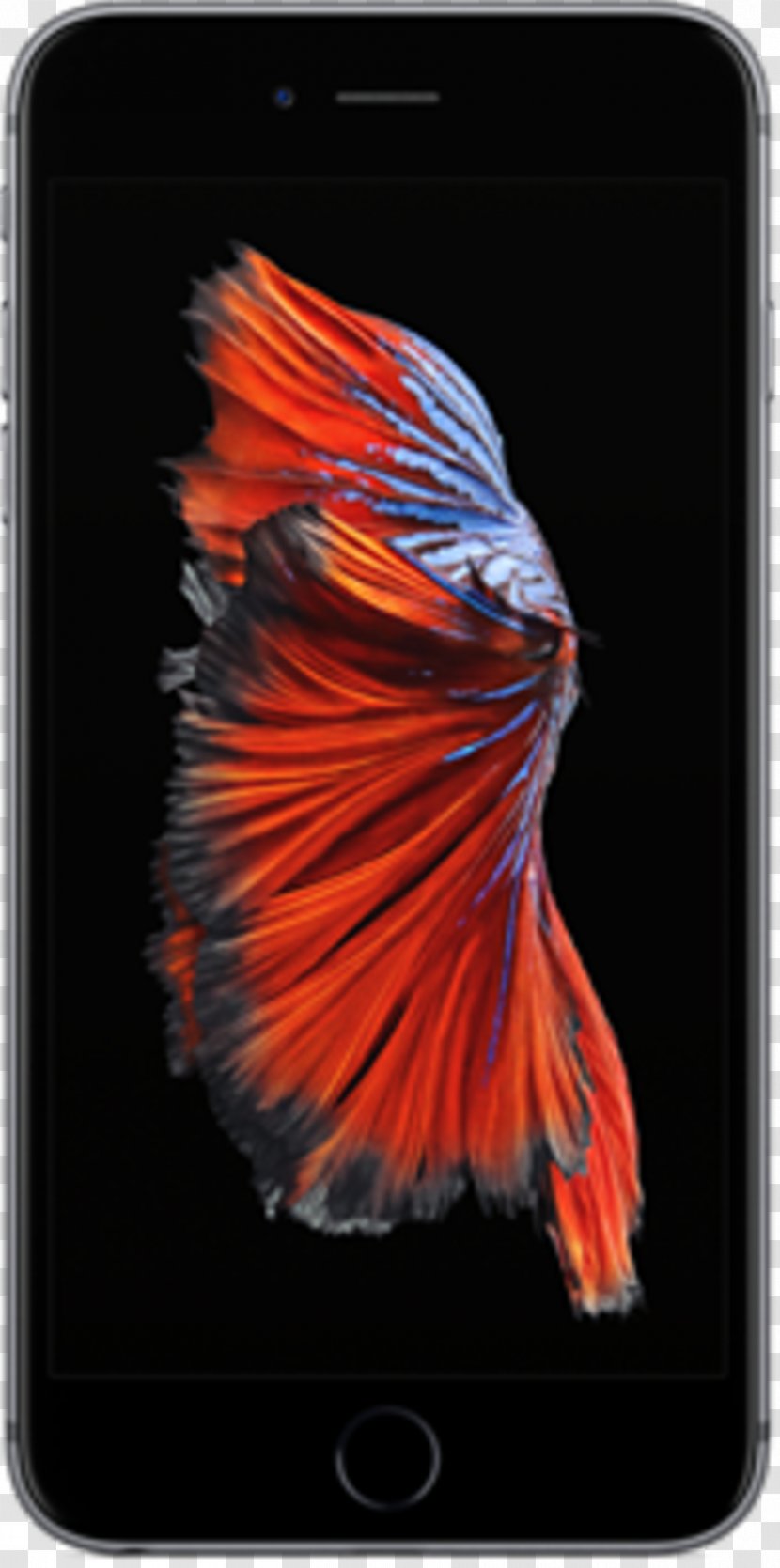 IPhone 5 6 Plus 6s 7 8 - Iphone - Betta Transparent PNG