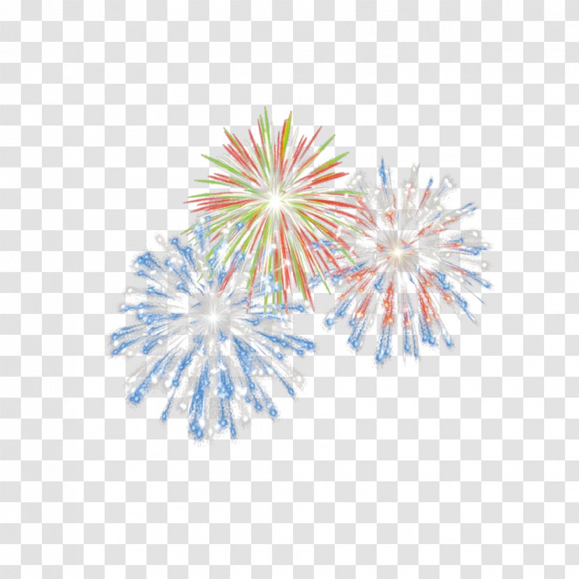 Fireworks Pyrotechnics - Flower - Rainbow Transparent PNG