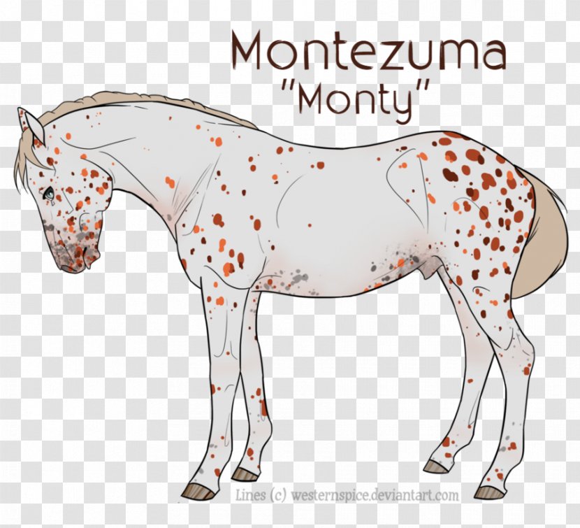 Mule Foal Mare Mustang Stallion - Tree Transparent PNG