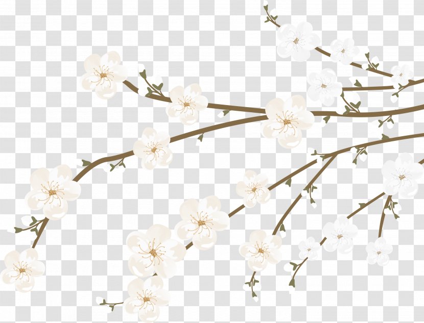 Cherry Blossom Euclidean Vector - Sakura Decoration Transparent PNG