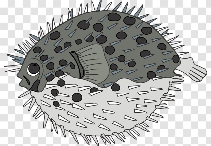 Pufferfish Royalty-free - Royaltyfree - Peces Transparent PNG