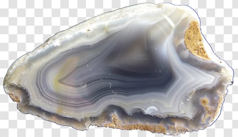 Clam Mineral Jaw - Agate Stone Transparent PNG