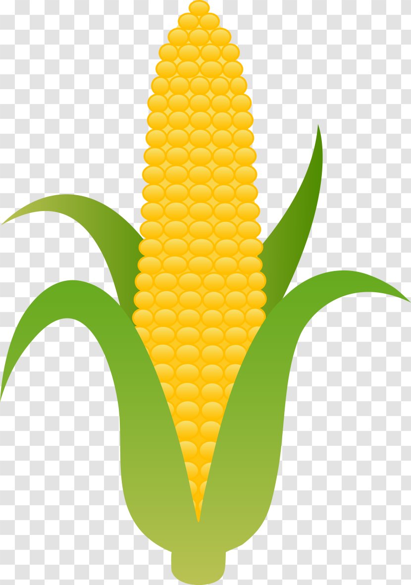 Corn On The Cob Candy Maize Clip Art - Leaf Transparent PNG