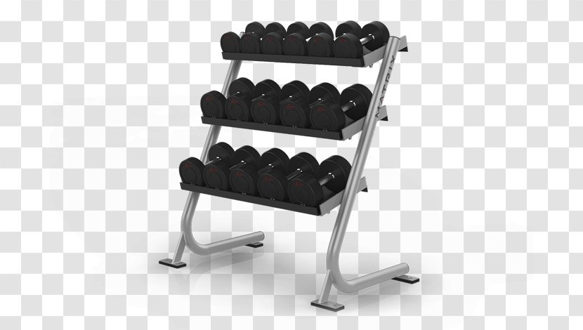 Bench Barbell Dumbbell Physical Fitness Exercise - Equipment - Gym Closed For Repairs Transparent PNG
