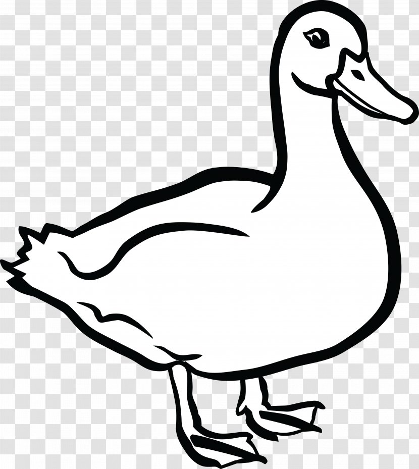 Duck American Pekin Mallard Clip Art - Wildlife - DUCK Transparent PNG