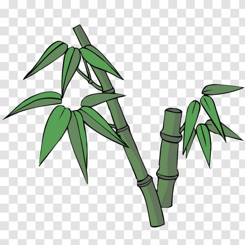 Bamboo Cartoon Illustration - Leaf - Icon Transparent PNG