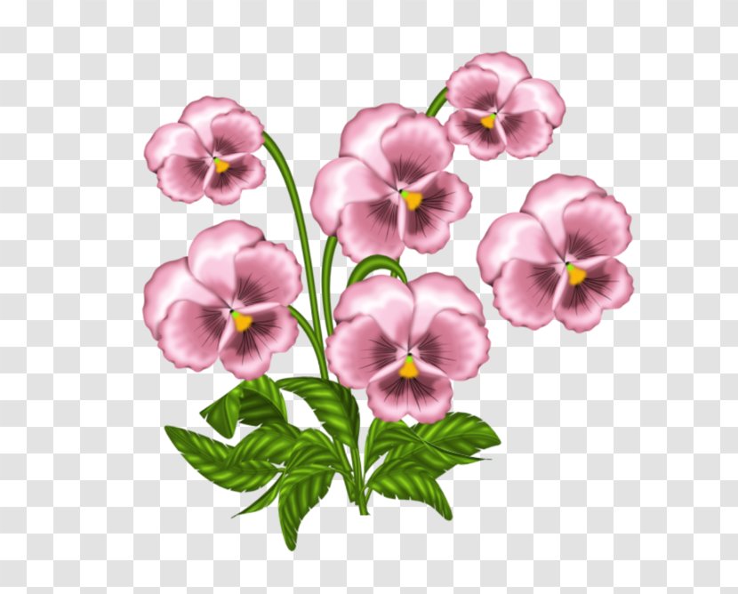 Clip Art African Violets Pansy Openclipart - Viola - Seed Plant Transparent PNG