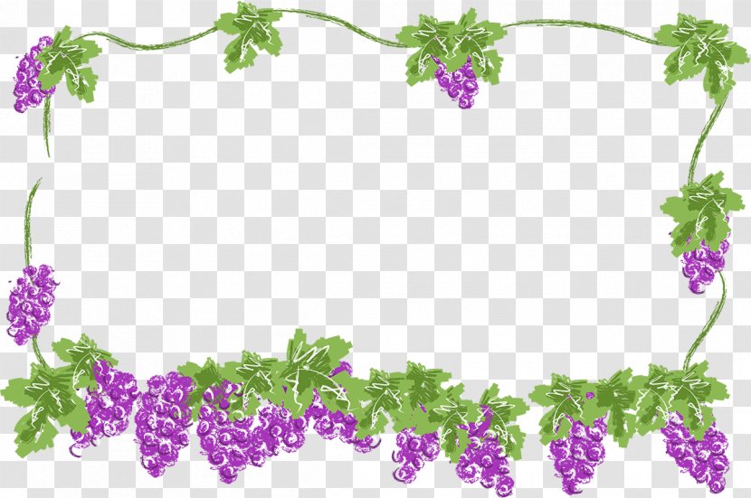 Photography Grape Clip Art - Floristry - Cabbage Transparent PNG