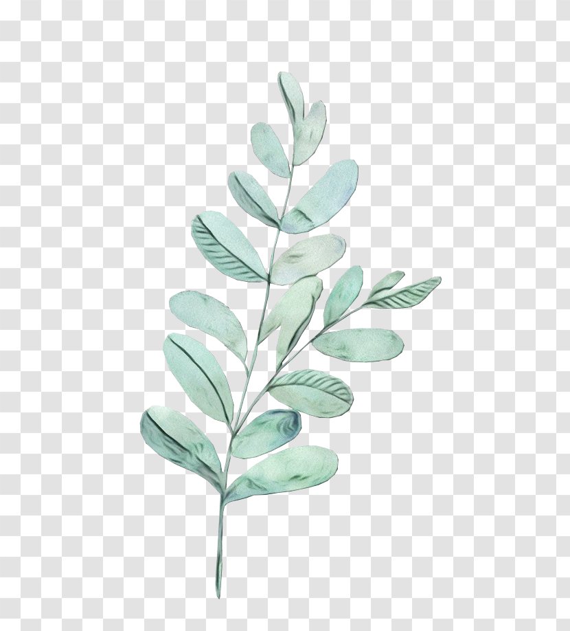 Green Leaf Background - Nous - Twig Branch Transparent PNG