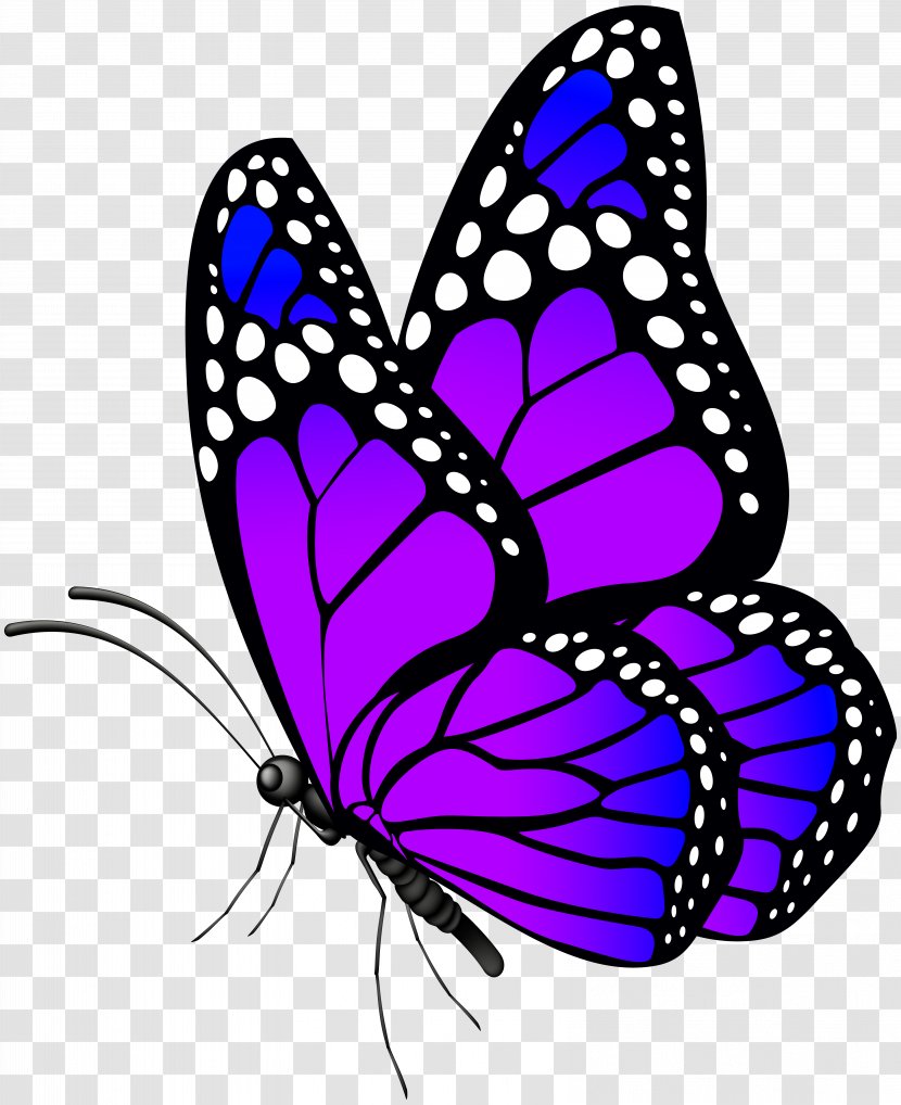 Butterfly Clip Art - Nymphalidae - Purple Image Transparent PNG